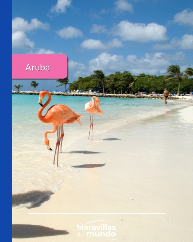 ARUBA 